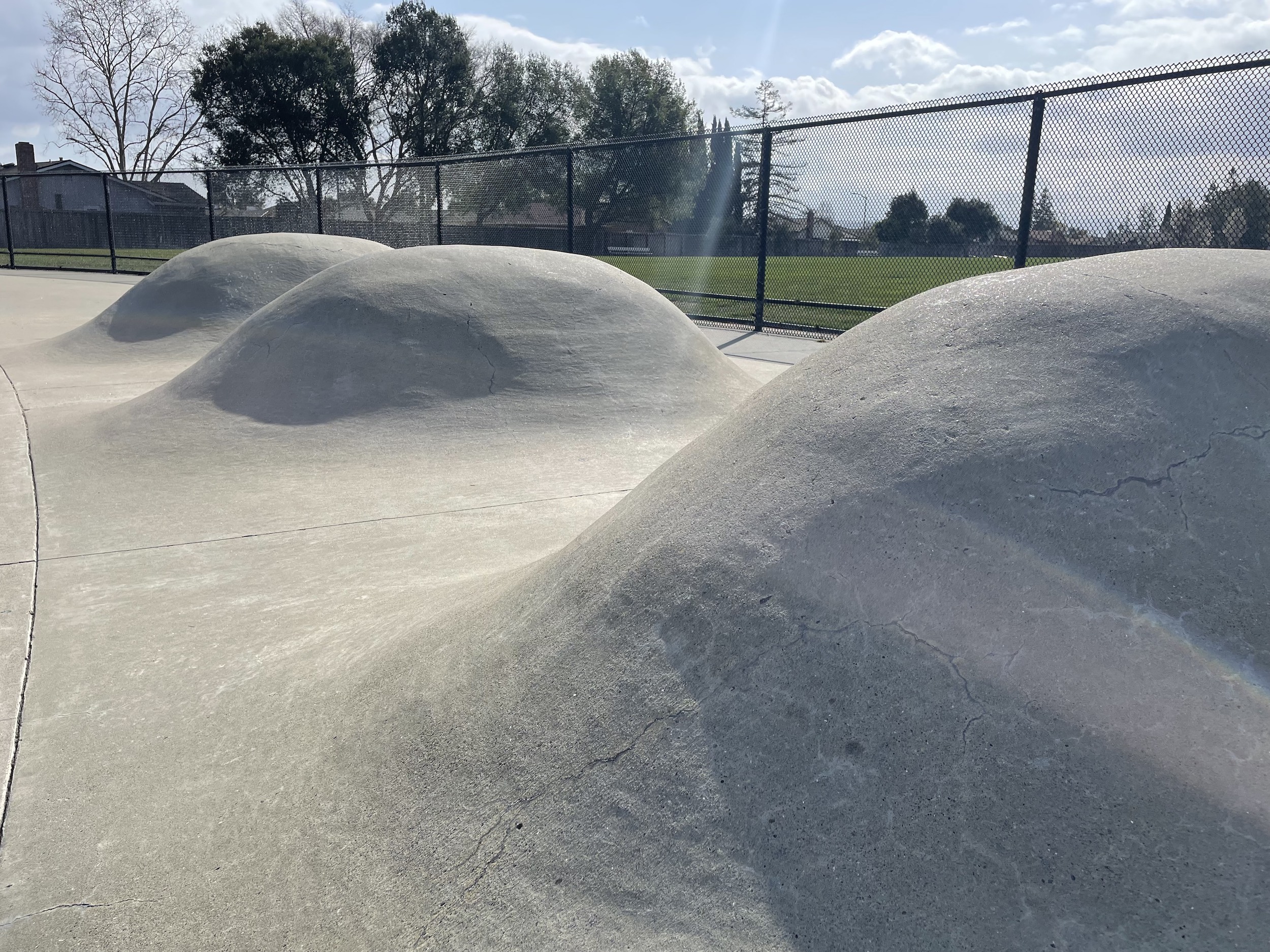 Pleasanton skatepark